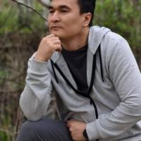 Nur
